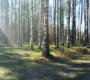 дорога в Каменку