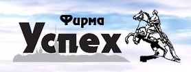 Компания успех. Логотип компании успех. Название компании об успехе. Группа компаний успех. Фирма успех Санкт-Петербург.