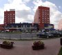 Cоколово-мещерская 25