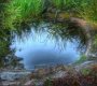 Воронежская область Острогожский район село Нижний Ольшан ул. Толпыгина 94 а