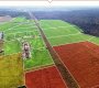 дер. Чашниково