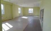 деревня Папино, 93