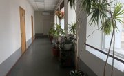 Суворовская улица