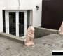 Третьяковская ул, 25