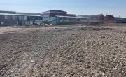село Остров, Остров дачное неком-е партнерство