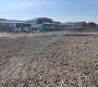 село Остров, Остров дачное неком-е партнерство
