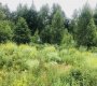 Николо-Урюпино