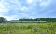 Апельсиновая ул