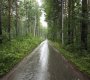 Ромашка п, Озерная ул, 1