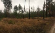 Инжавинский район, Инжавинская территория