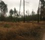 Инжавинский район, Инжавинская территория